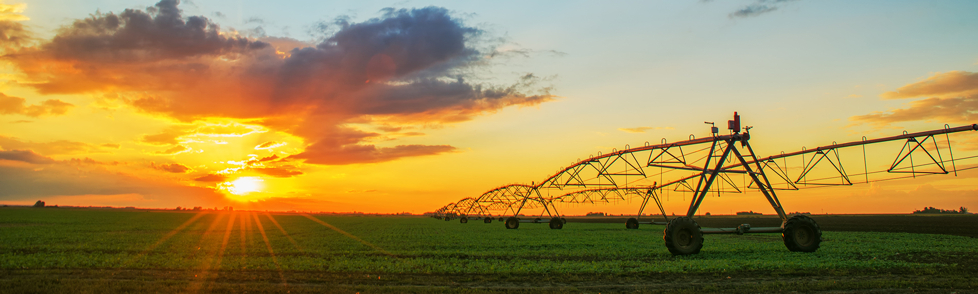 Picture of an irrigation system, sitting over a soybean field, with the sunset in the background. Agri-City Crop Insurance